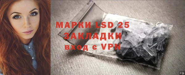 ПСИЛОЦИБИНОВЫЕ ГРИБЫ Белоозёрский